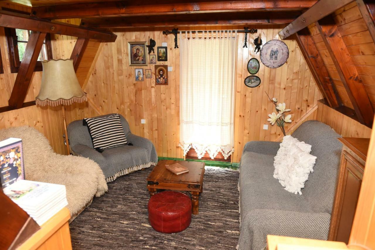 Villa Visnjin Dom Divčibare Esterno foto